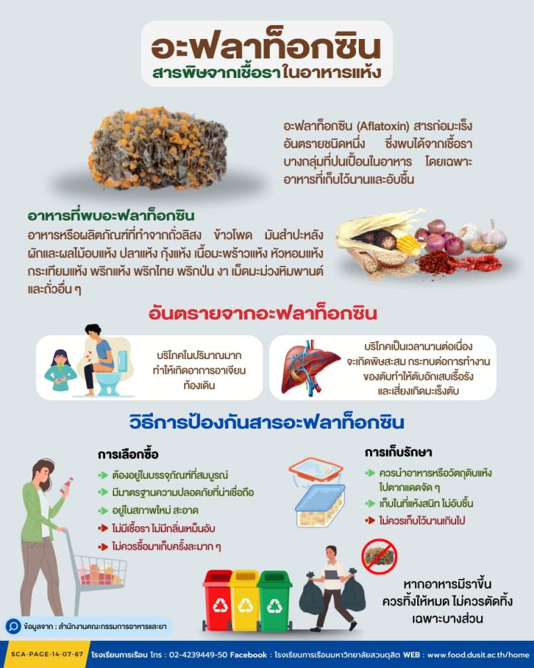 อะฟลาท็อกซิน (Aflatoxin) สารพิษจากเชื้อราในอาหารแห้ง