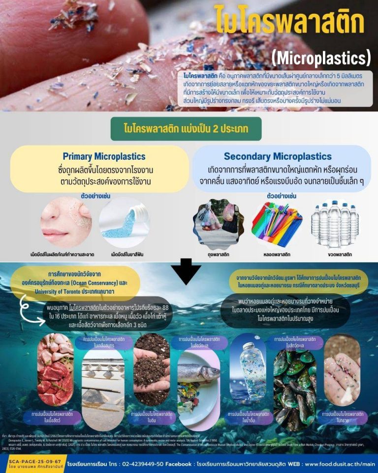 ไมโครพลาสติค (Microplastic)