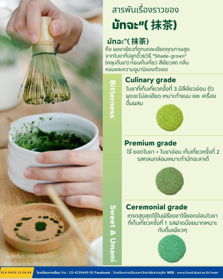 สารพันเรื่องราวของมัทฉะ