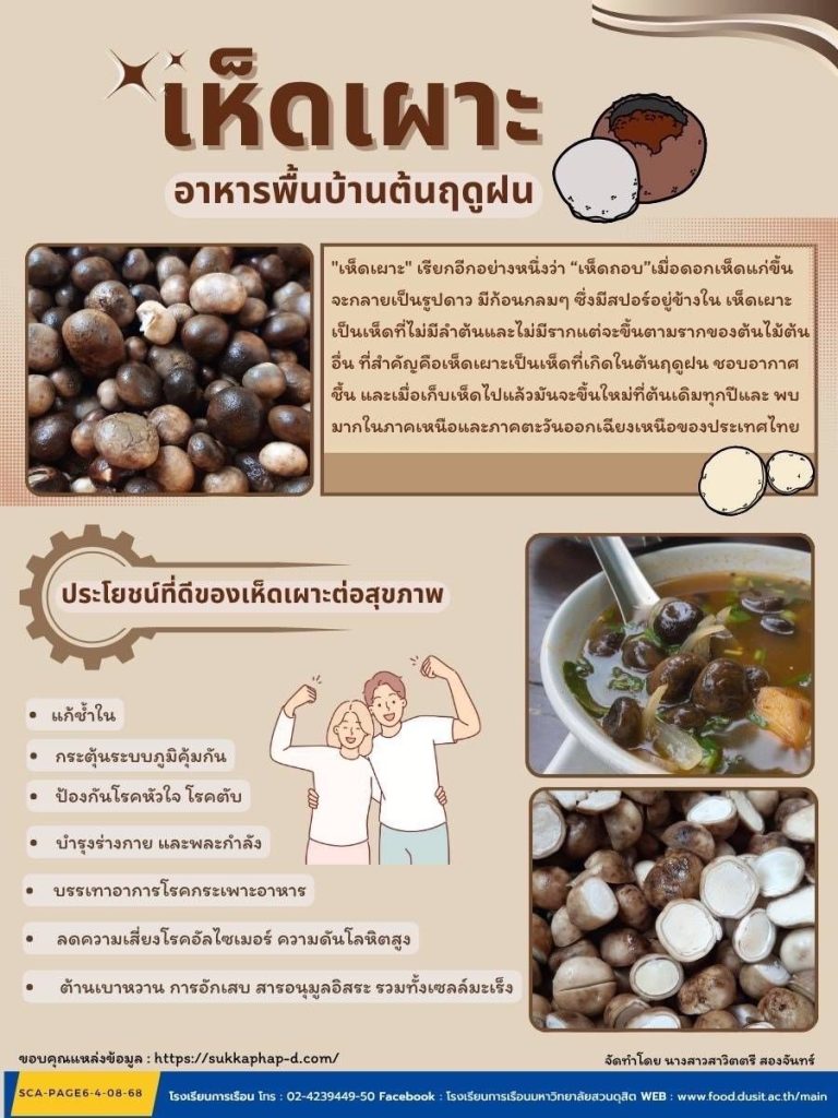 เห็ดเผาะ อาหารพื้นบ้านต้นฤดูฝน