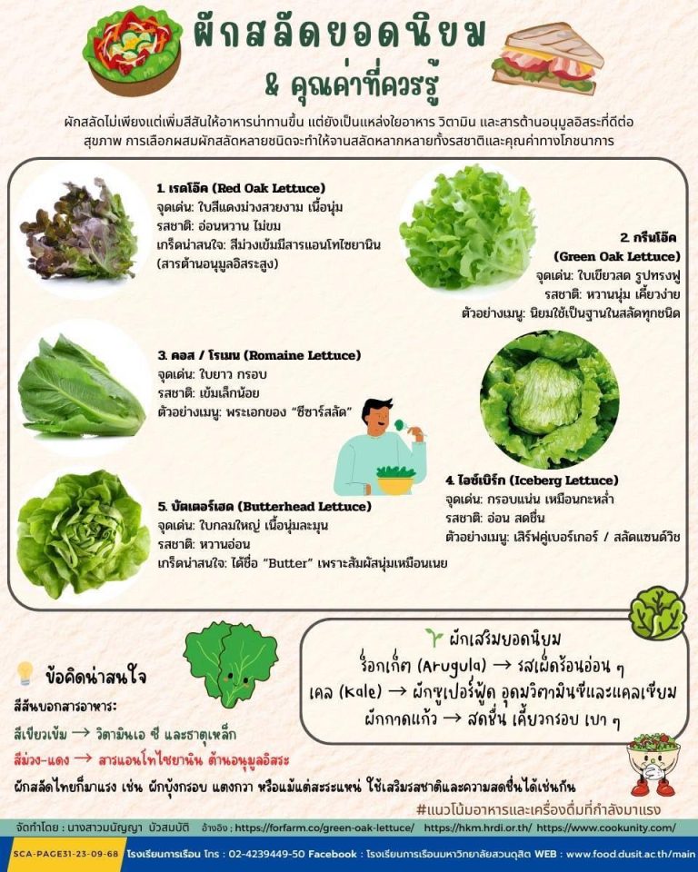 รู้ไหมว่า…ผักสลัดแต่ละชนิดไม่ได้มีดีแค่ความกรอบหรือสีสัน แต่ยังซ่อนคุณค่าทางโภชนาการที่แตกต่างกันเอาไว้ด้วย