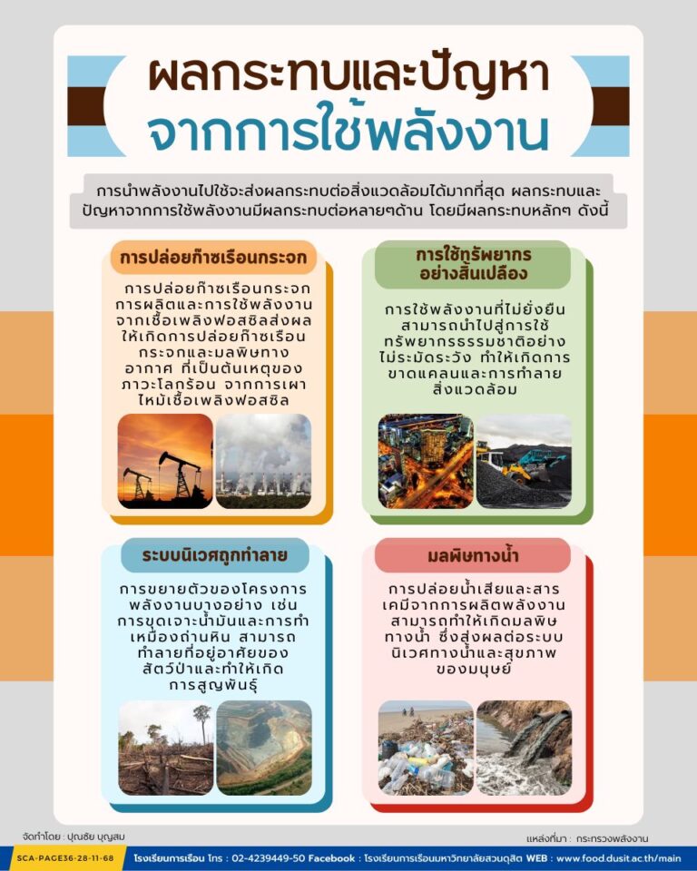 ผลกระทบและปัญหาจากการใช้พลังงาน