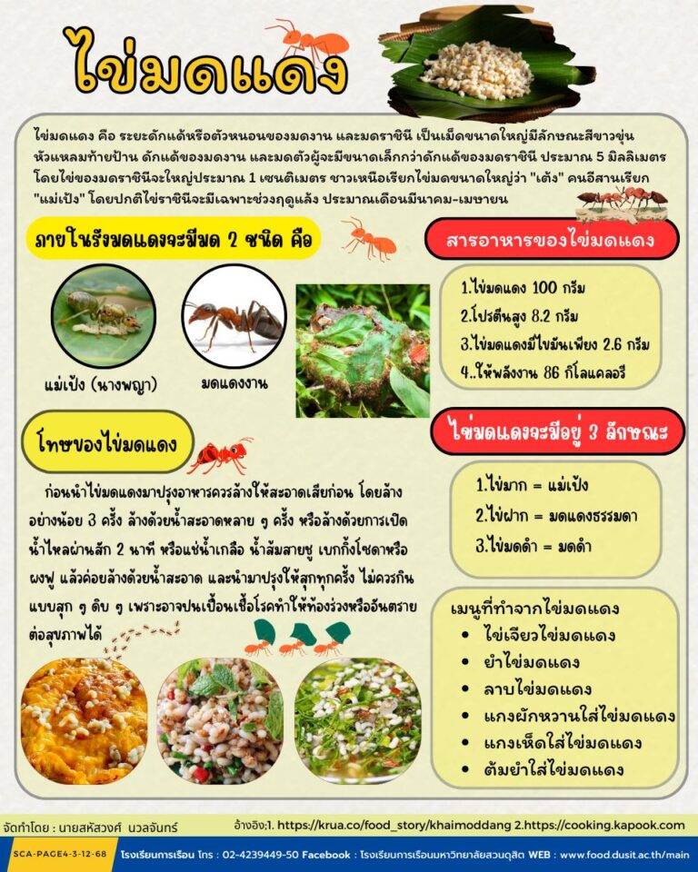 ไข่มดแดง