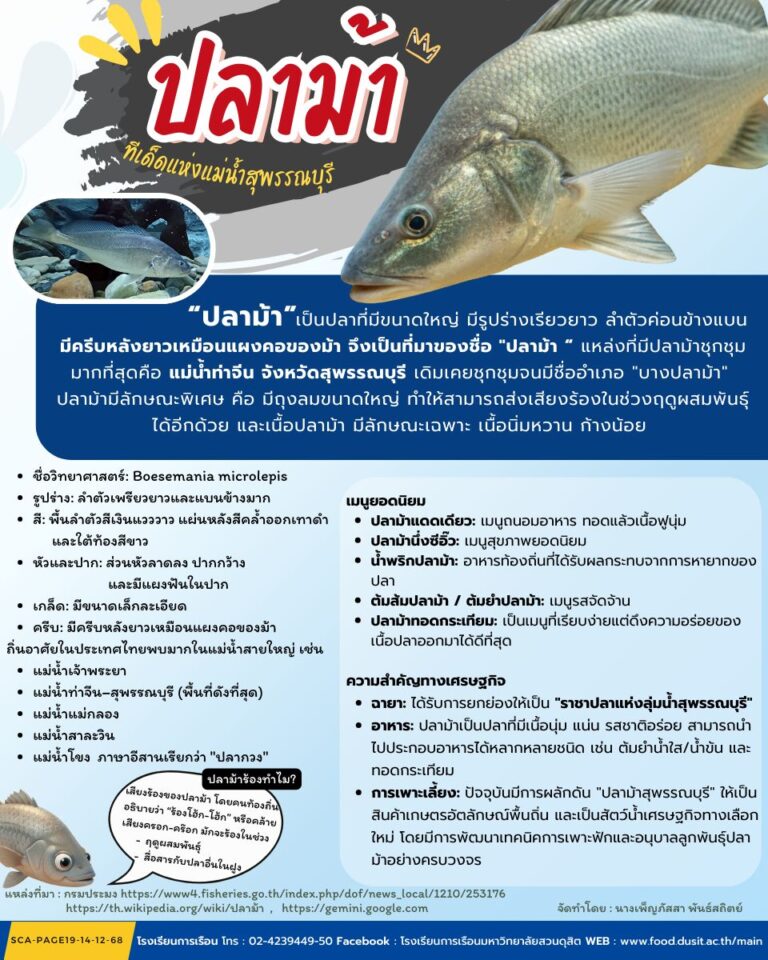 “ปลาม้า” ทีเด็ดแห่งแม่น้ำสุพรรณบุรี