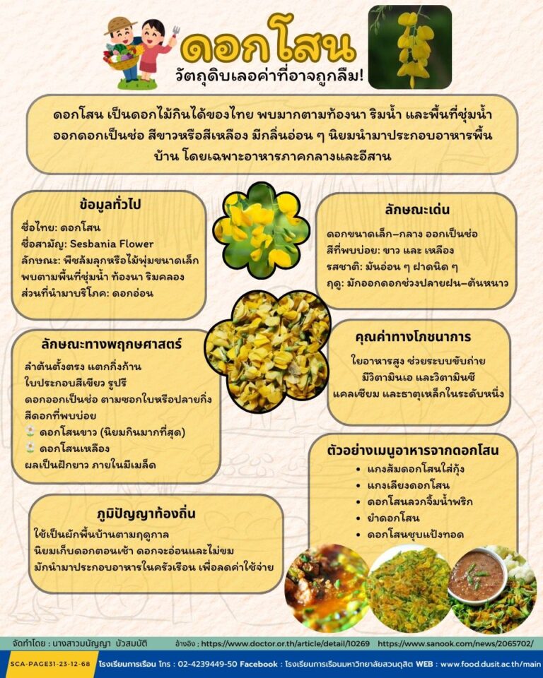 ดอกโสน: วัตถุดิบเลอค่าที่อาจถูกลืม!