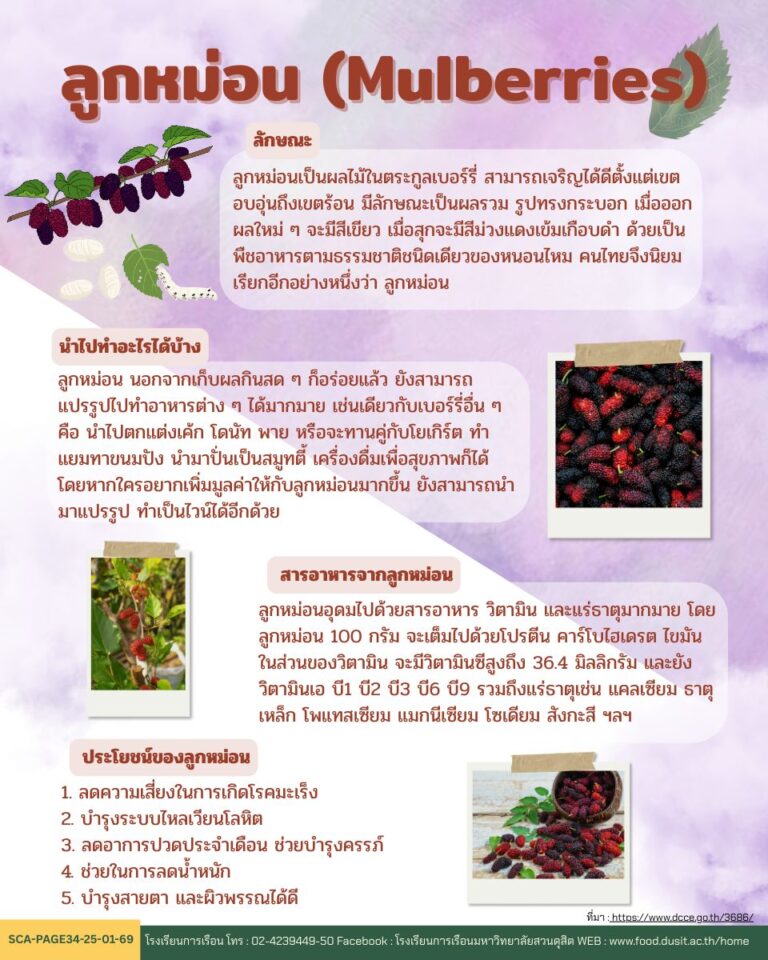 “ลูกหม่อน (Mulberries)”