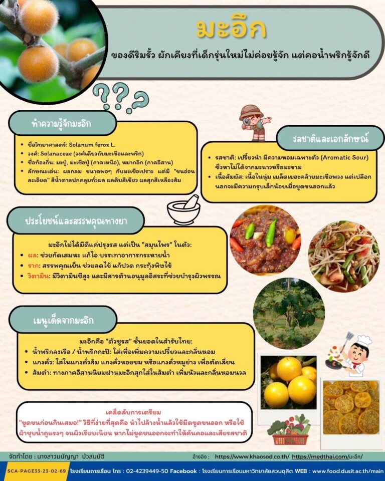 มะอึก ของดีริมรั้ว