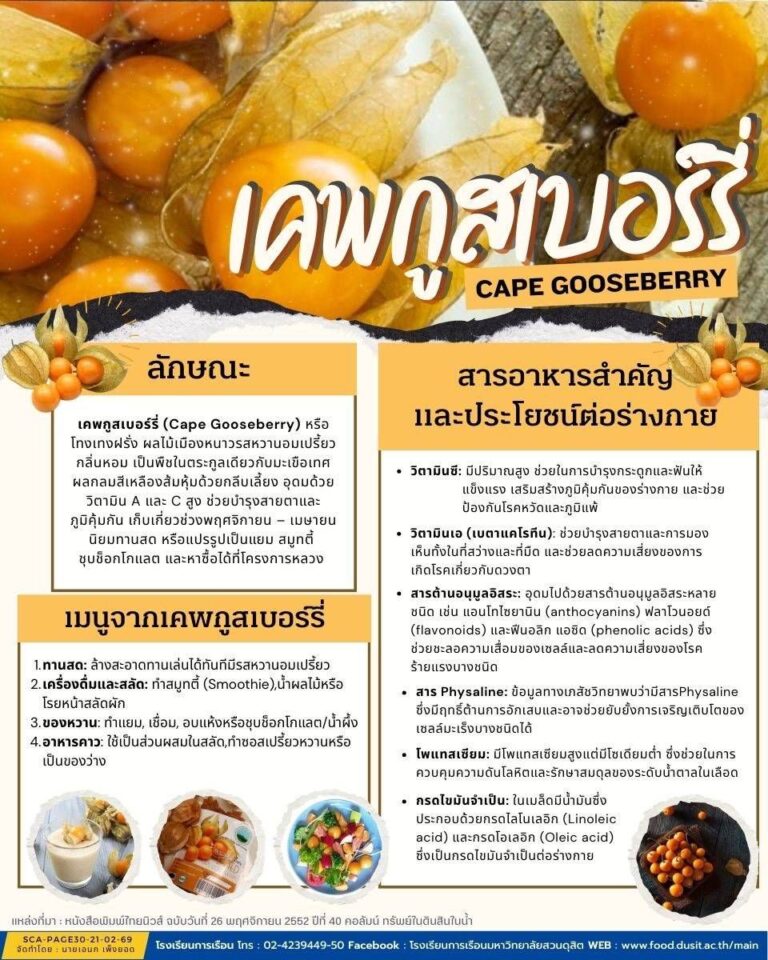 เคพกูสเบอร์รี่