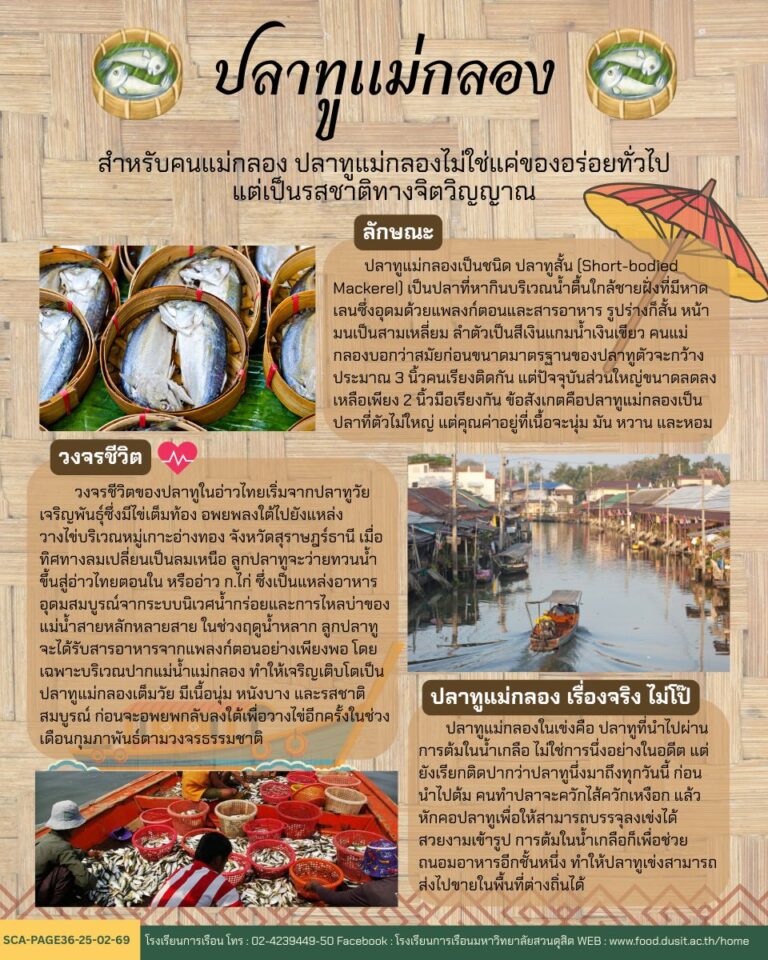 ปลาทูแม่กลอง