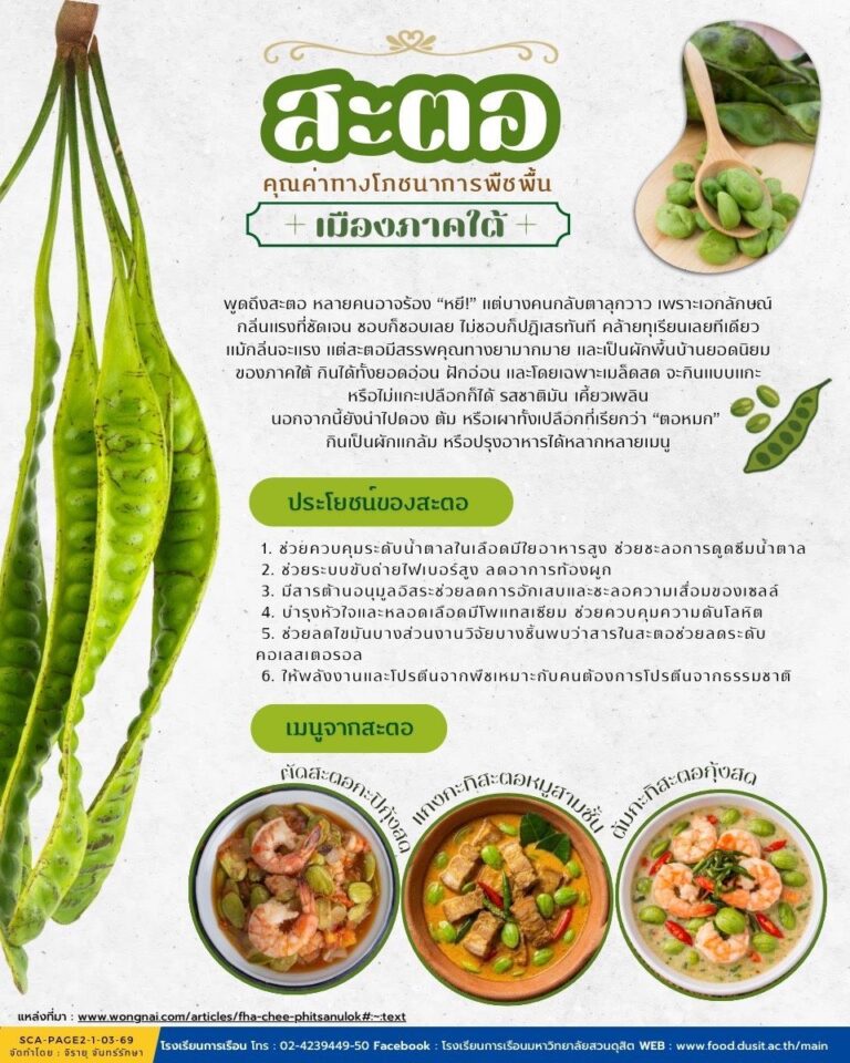 “สะตอ” คุณค่าทางโภชนาการพืชพื้นเมืองภาคใต้