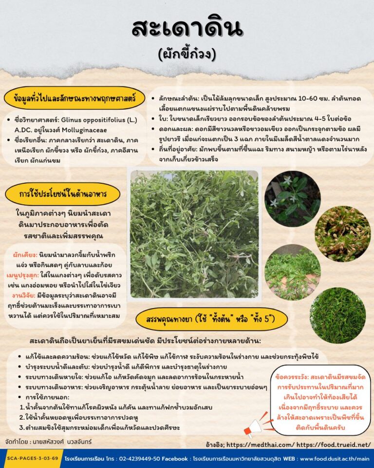 สะเดาดิน