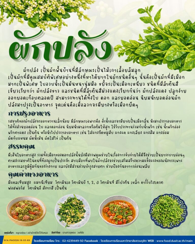 ผักปลัง