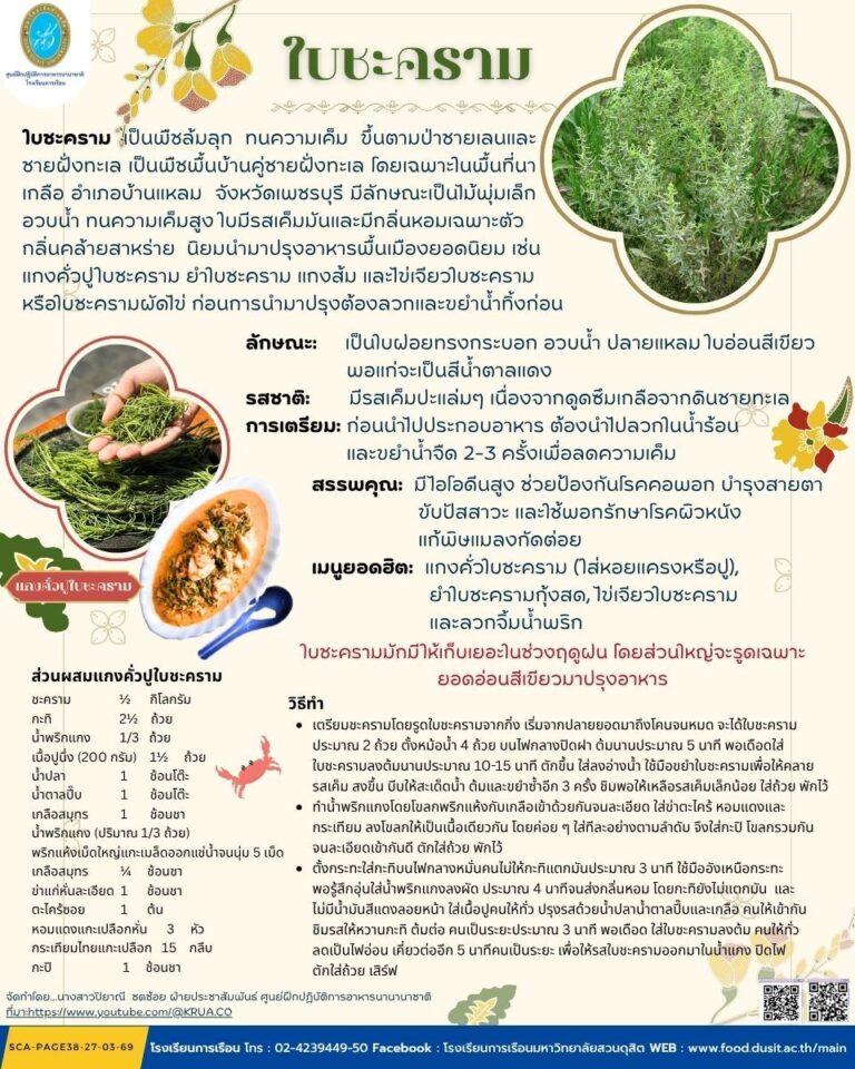 “ใบชะคราม” ผักพื้นบ้านริมทะเล สู่คุณค่าและความสร้างสรรค์ในอาหารไทย