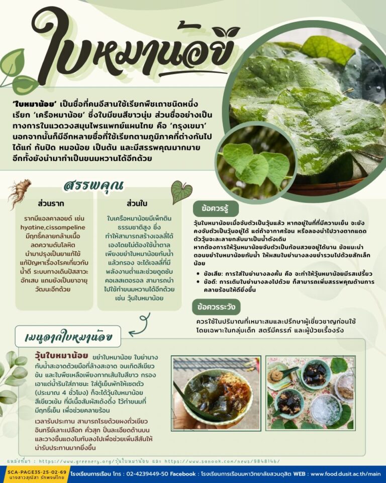 “ใบหมาน้อย” (วัตถุดิบท้องถิ่นภาคอีสาน)