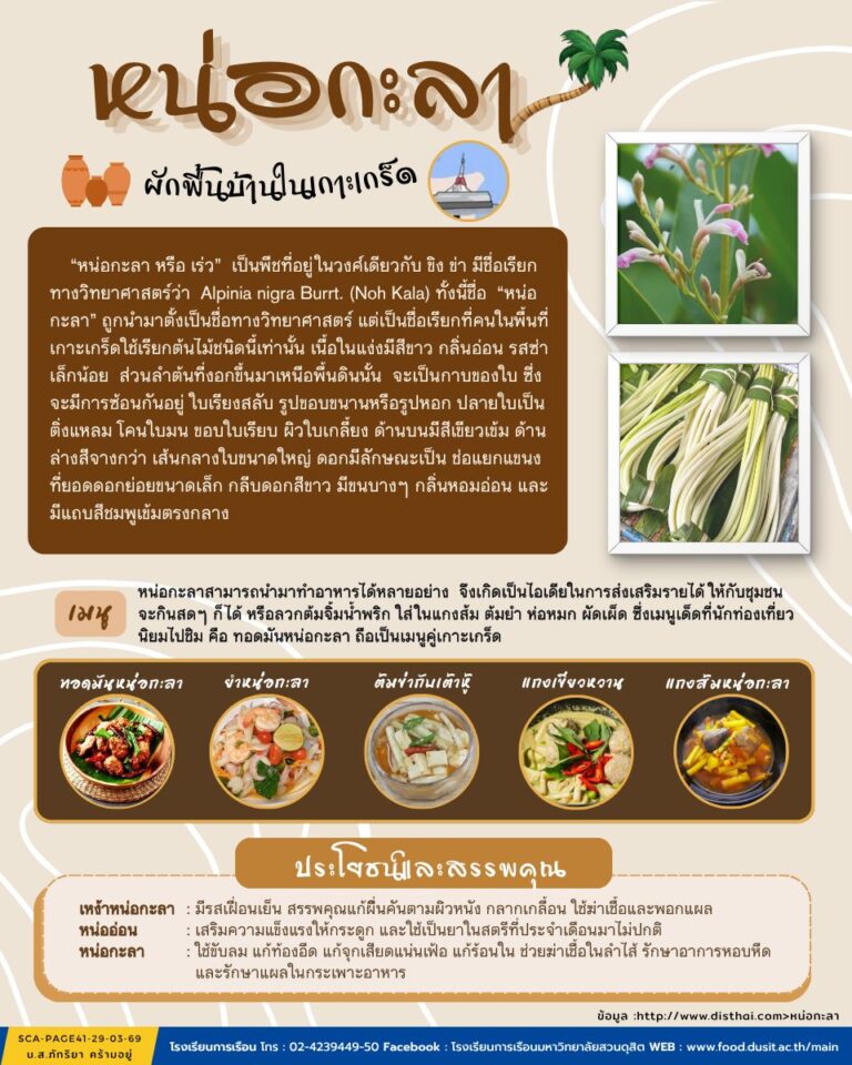 หน่อกะลา