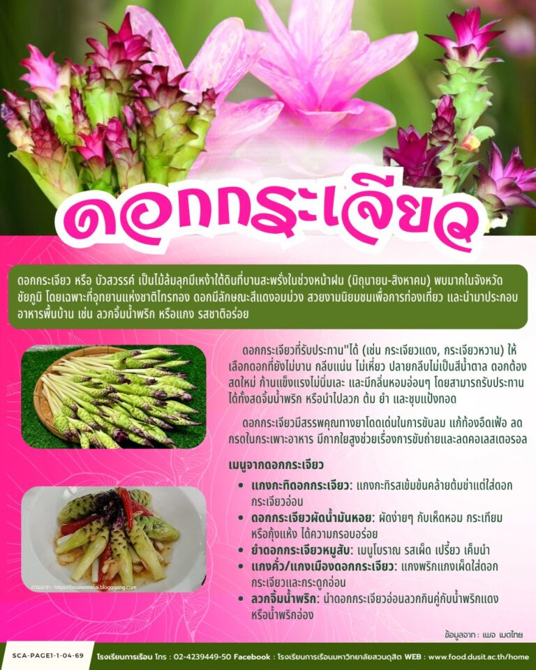 “ดอกกระเจียว” ของดีหน้าฝน กินได้ อร่อยด้วย!