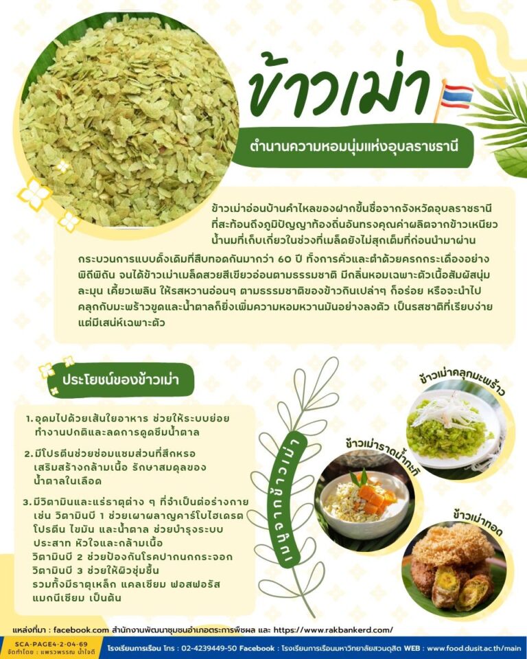 “ข้าวเม่าบ้านคำไหล” – ตำนานความหอมนุ่มอุบลราชธานี 