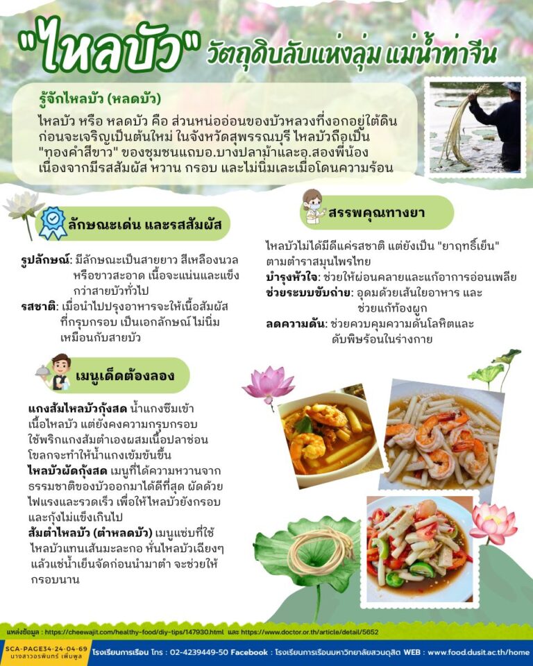 “ไหลบัว” วัตถุดิบลับแห่งลุ่มแม่น้ำท่าจีน