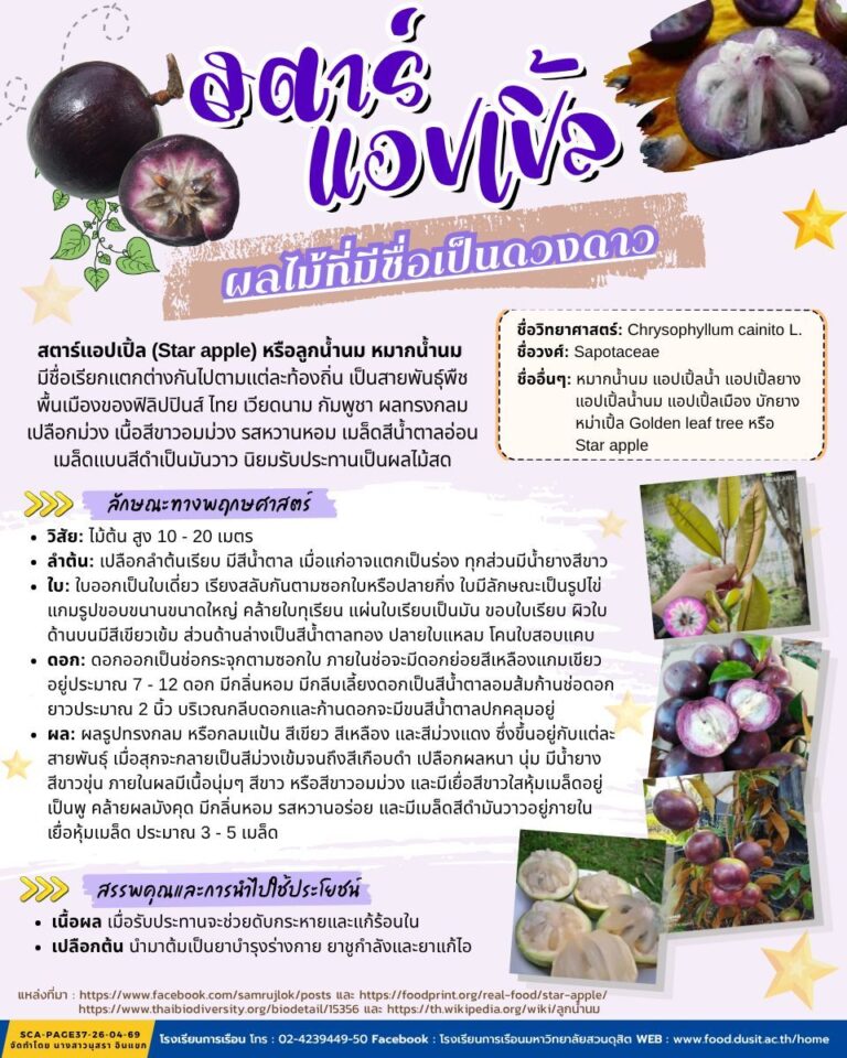 สตาร์ แอปเปิ้ล (Star apple)