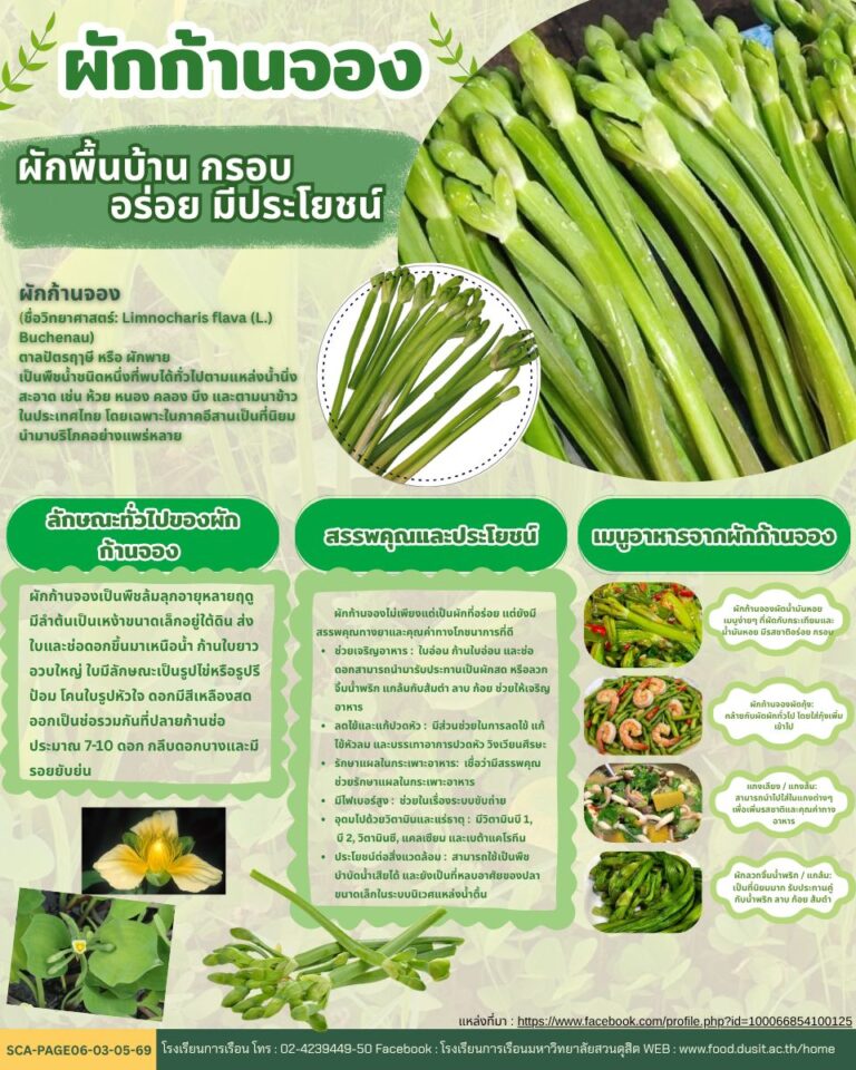 ” ผักก้านจอง วัตถุดิบในท้องถิ่น “