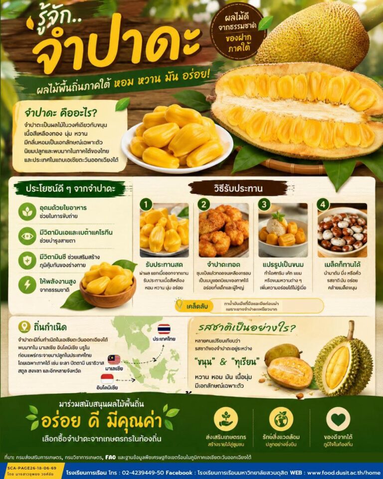 ”จำปาดะ“