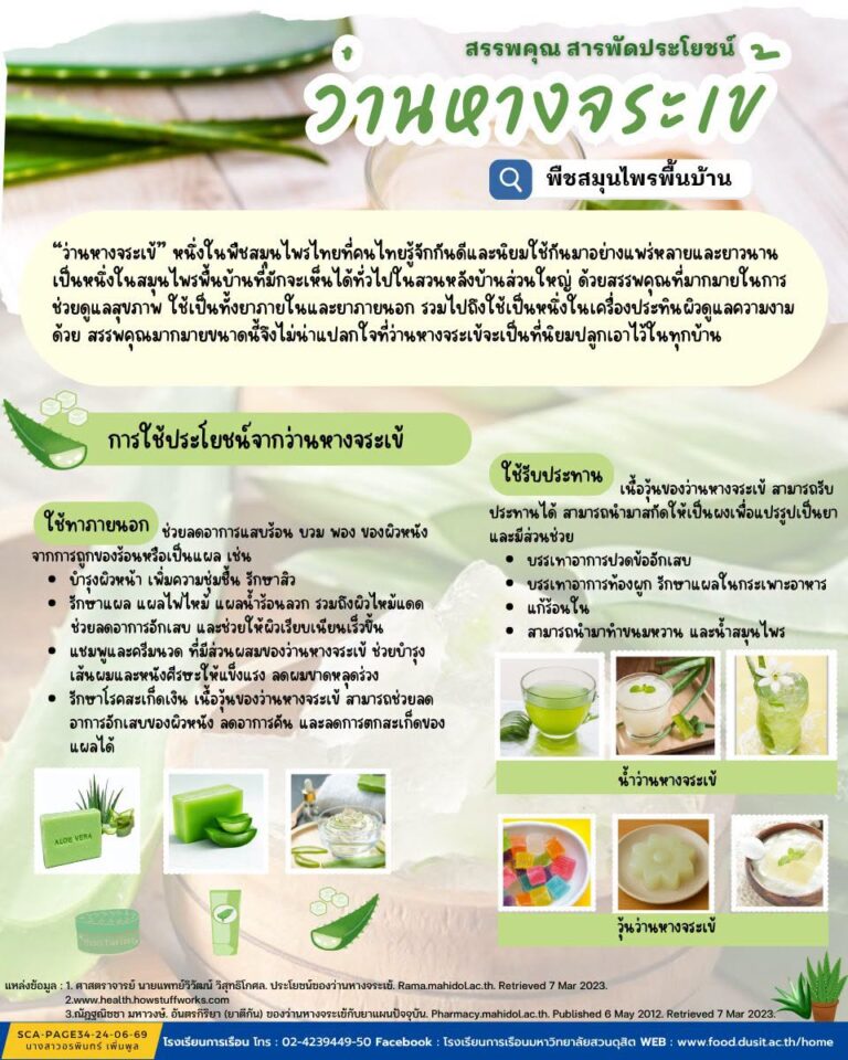 “ว่านหางจระเข้”