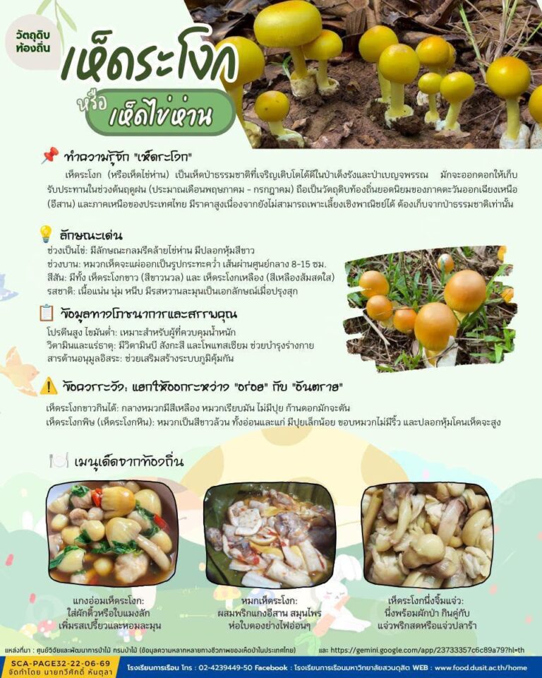 “เห็ดระโงก”
