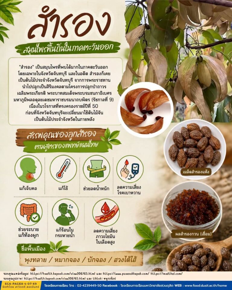 “สำรอง สมุนไพรพื้นถิ่นในภาคตะวันออก”