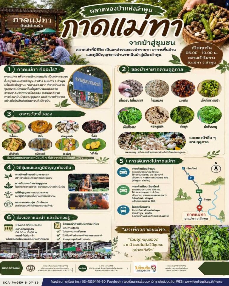 กาดแม่ทา…ตลาดของป่าแห่งลำพูน