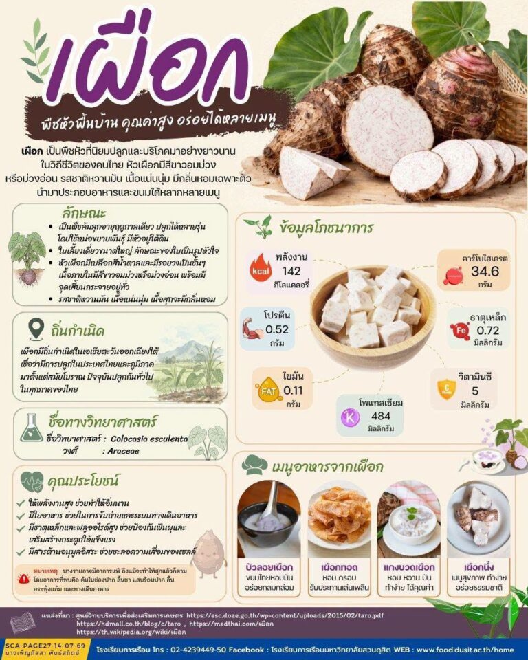 เผือก