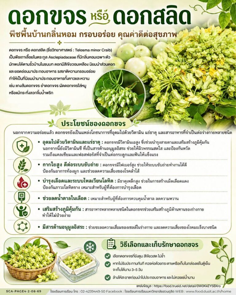 ดอกขจร