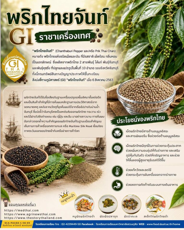 “พริกไทยจันท์ GI ราชาเครื่องเทศ”