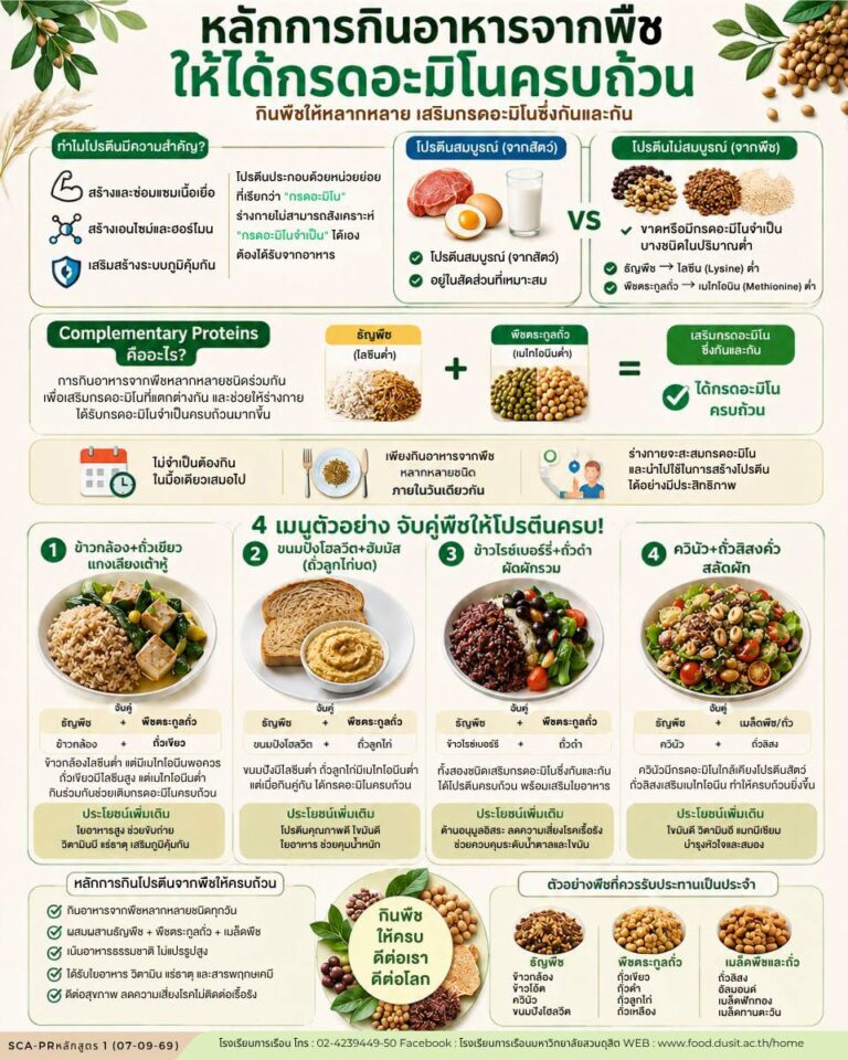 “กินอาหารจากพืชอย่างไร ให้ได้กรดอะมิโนครบถ้วน”
