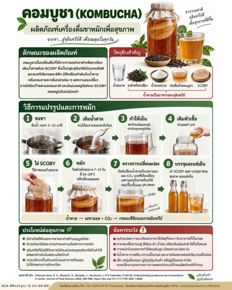 “คอมบูชา (Kombucha)”