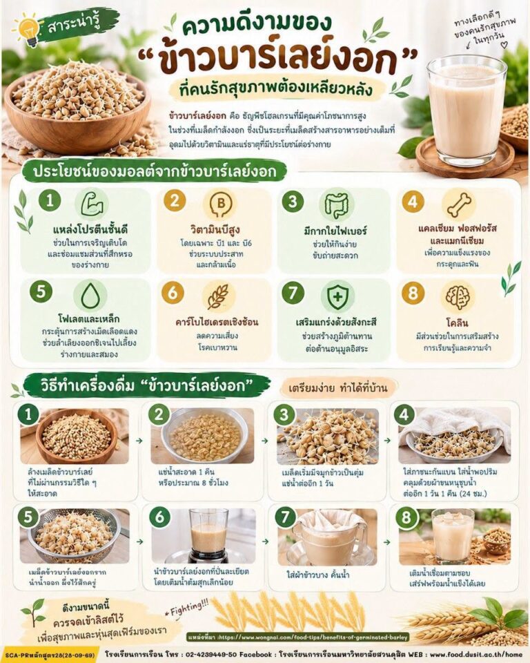 ศาสตร์แห่งการรังสรรค์ “เครื่องดื่มข้าวบาร์เลย์งอก” (Germinated Barley Drink)