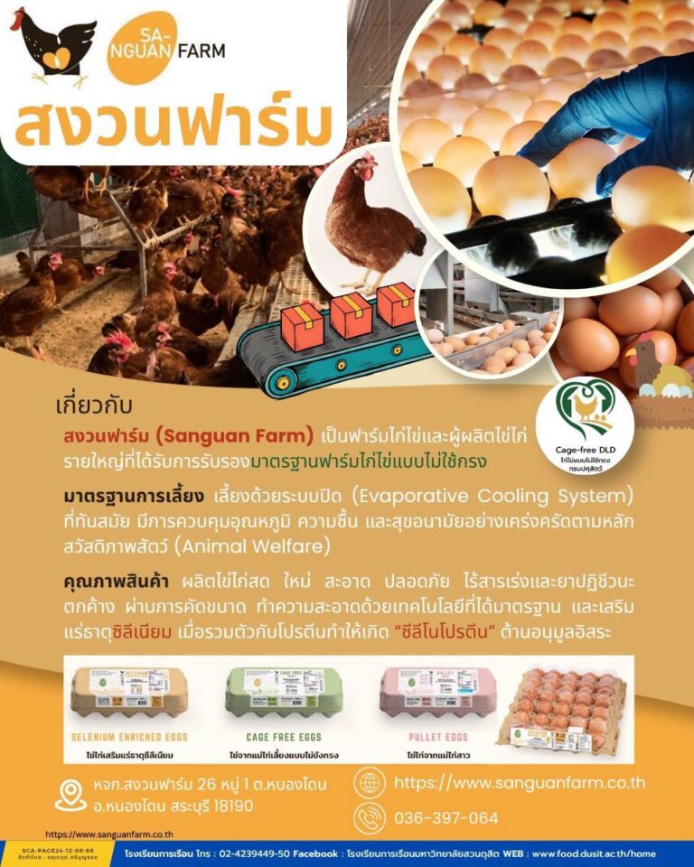 “สงวนฟาร์ม (Sanguan Farm) ฟาร์มสัตว์ปีก”